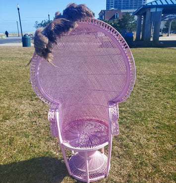 Peacock chair rental